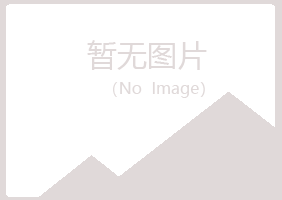 偃师冬灵化学有限公司